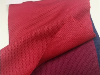 MS-MEGH  Micro Mesh CG01 170gm/m2 Rib,Collar&cuff Available 馬來西亞 側面照